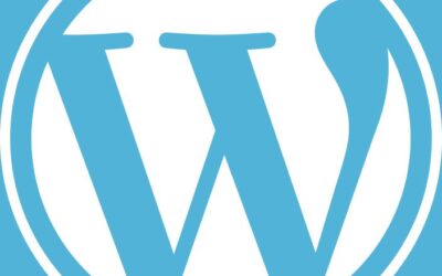 Building Websites with WordPress and SEO in Mind