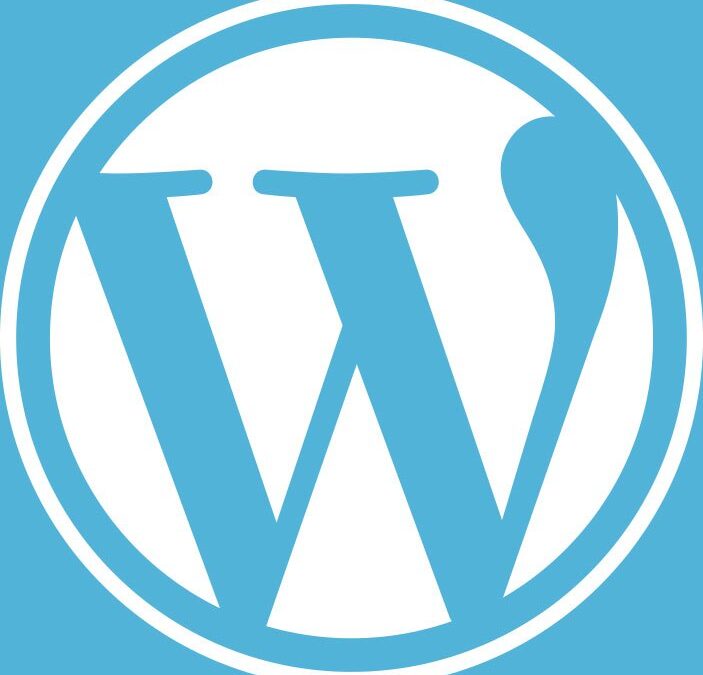 Building Websites with WordPress and SEO in Mind